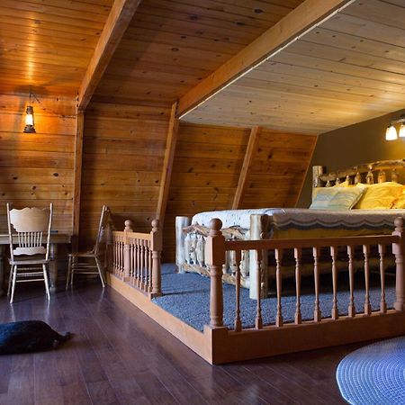 Hicksville Pines Chalets & Motel Idyllwild Dış mekan fotoğraf