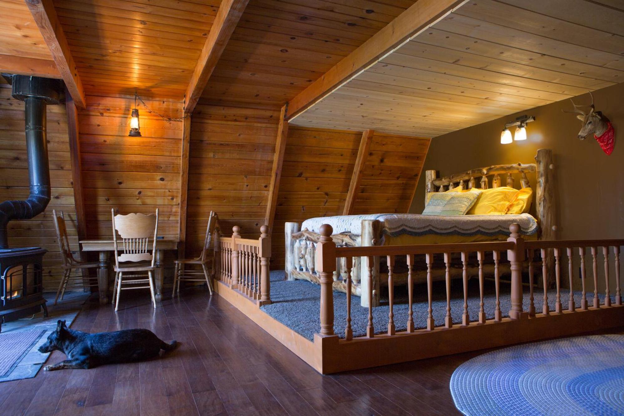 Hicksville Pines Chalets & Motel Idyllwild Dış mekan fotoğraf